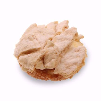 Afbeeldingen van ski-schelp